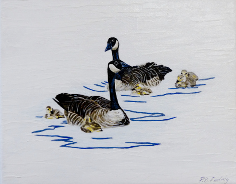 Family 7&nbsp;&nbsp;&nbsp;–&nbsp;&nbsp;&nbsp;Pamela Furlong